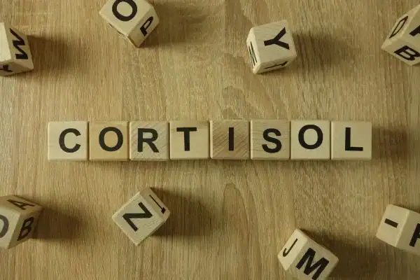 The Hidden Connection: How Stress Shapes Your Fitness and Body Composition 2 Image saying "Cortisol" and how stress Virginia Water impacts your wellbeing and bodies shape